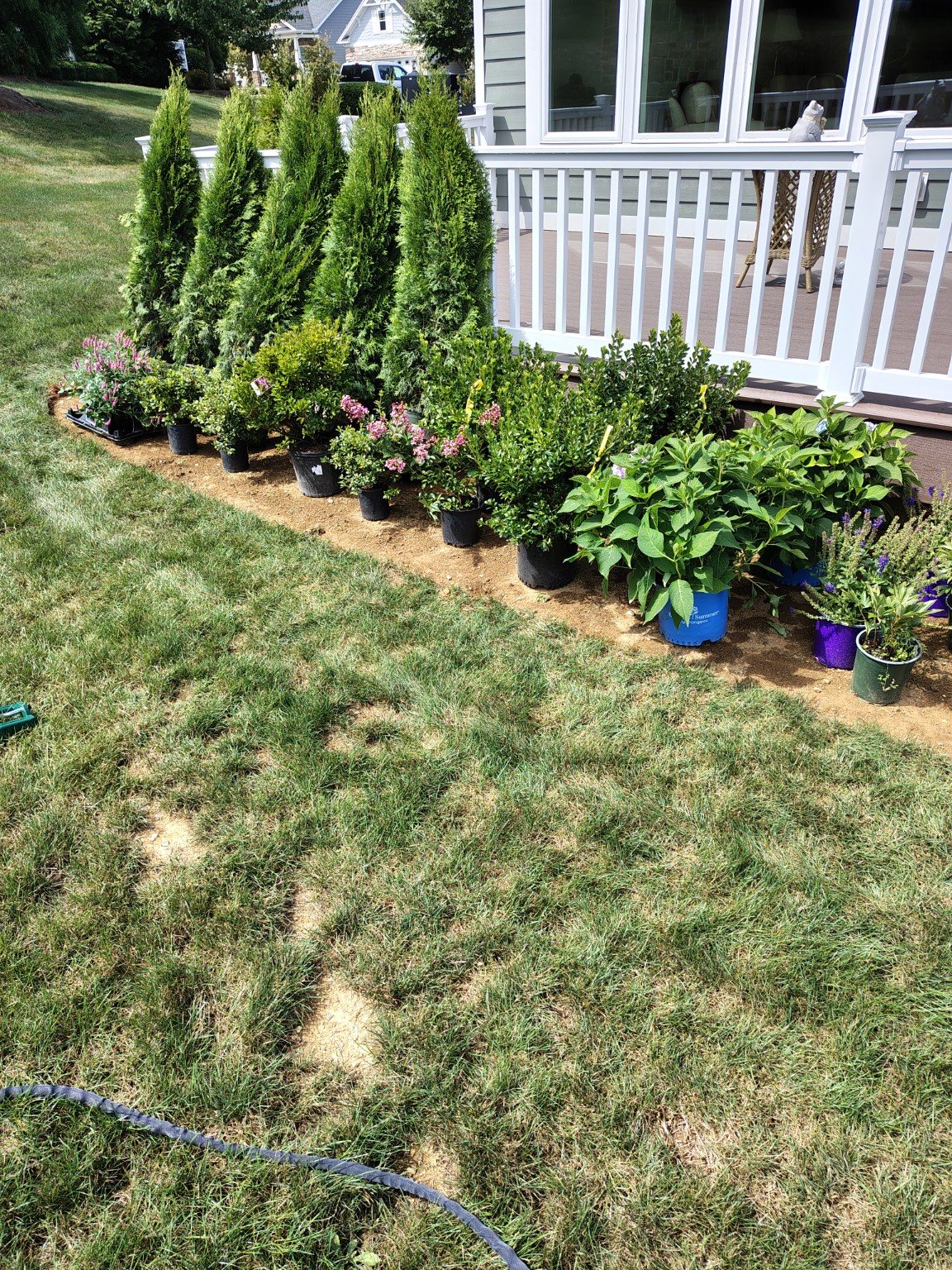 Plants Ready For Install by 814 Landscape LLC
