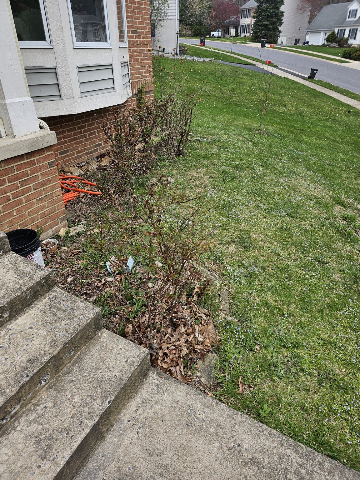 Before Cleanup by 814 Landscape LLC