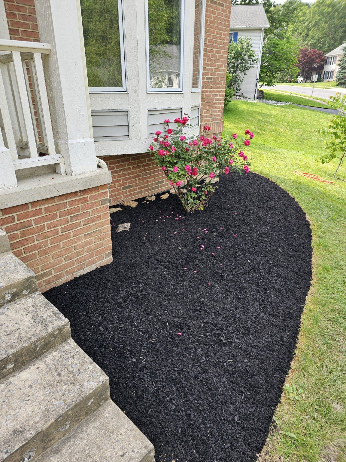 Finished Hillside Refresh by 814 Landscape LLC